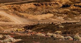 CBA常规赛：辽宁本钢胜宁波町渥